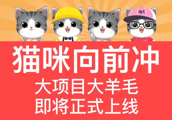猫咪向前冲大羊毛倒计时上线