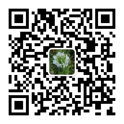 mmqrcode1608517178565.png