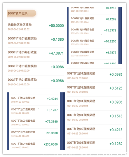 DOGT狗狗通证波场公链DAPP 抓住DOGT 实现财富自由 暴富指日可待