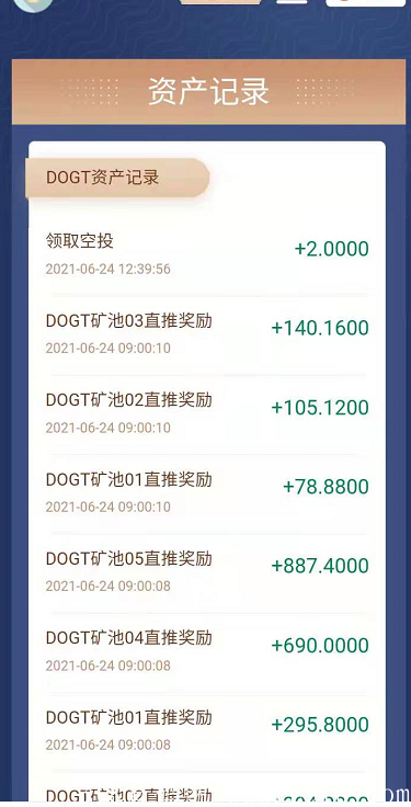 DOGT狗狗通证波场公链DAPP 抓住DOGT 实现财富自由 暴富指日可待