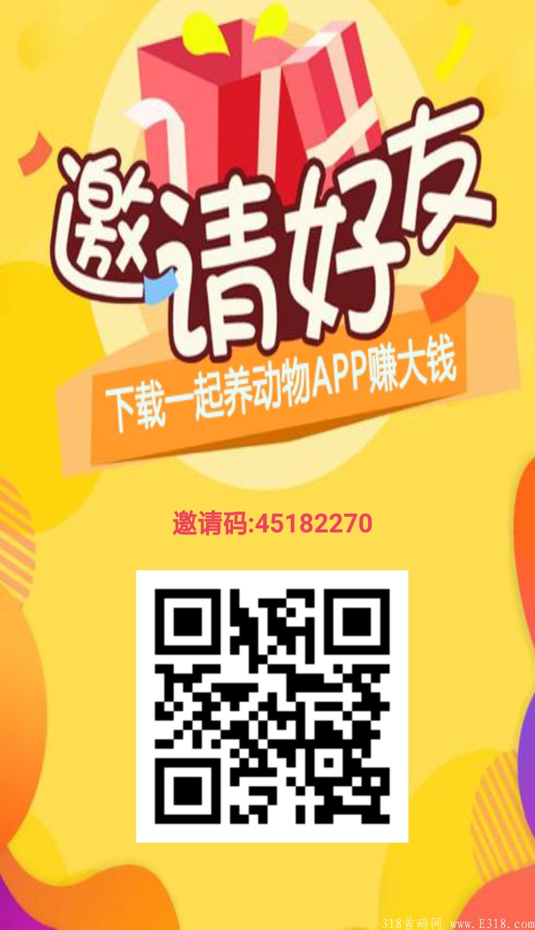 一起养动物