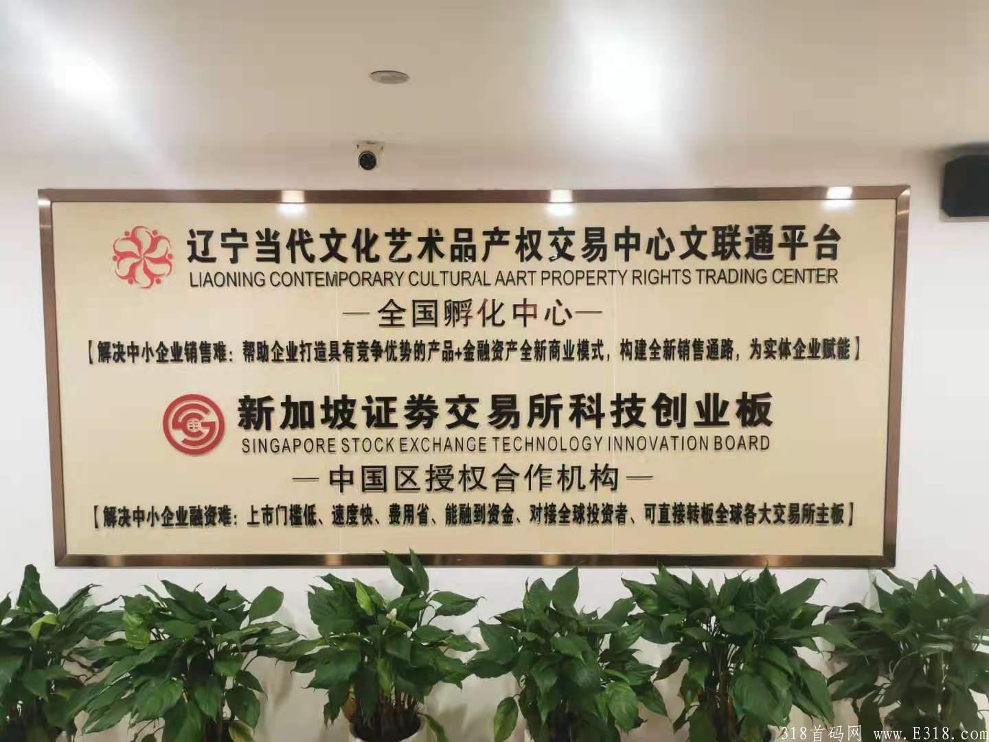 趣拼宝，携三大上市板块火爆来袭，全网对接团对长，高扶持