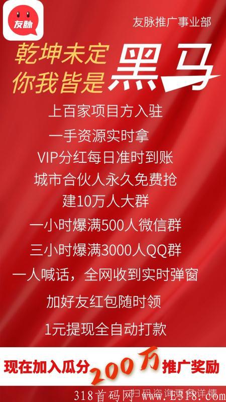 友脉 源码对接个团队中