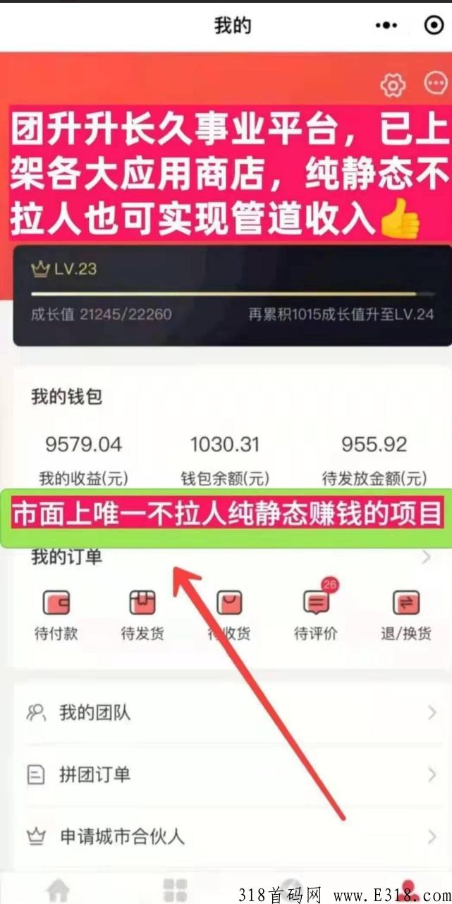 团生生，不推广,不实名，团队成员系统每天自更新