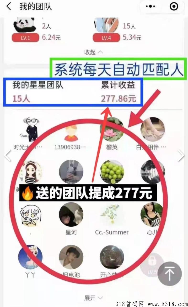 团生生，不推广,不实名，团队成员系统每天自更新