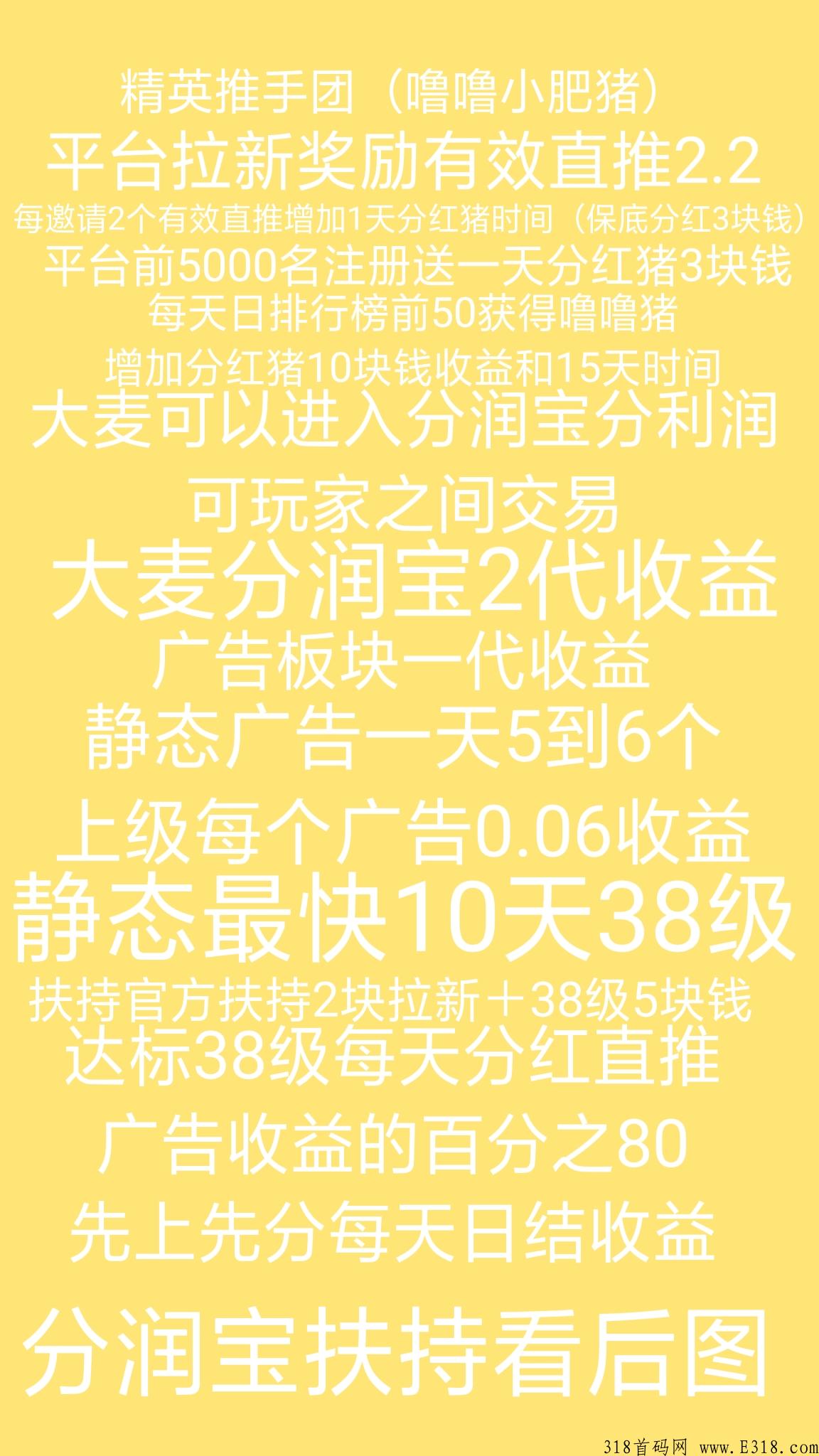 噜噜小肥猪今日上线锁粉，扶持包您满意