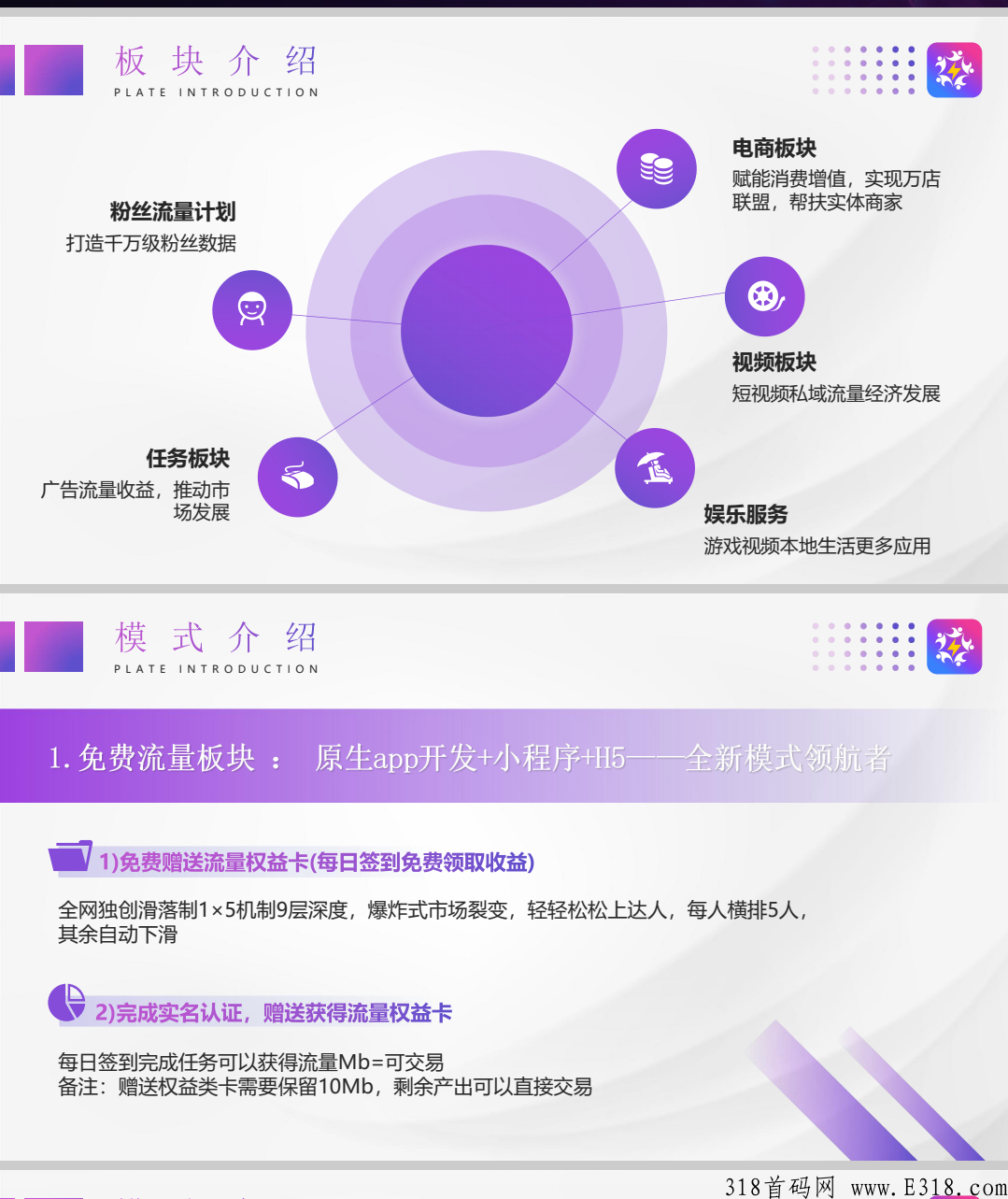 闪店联盟，寄售，全网公排滑落模式，对接首批团队长