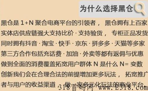 黑仓即将劲爆来袭，全消费覆盖与多元化玩法电商，全网对接团队长