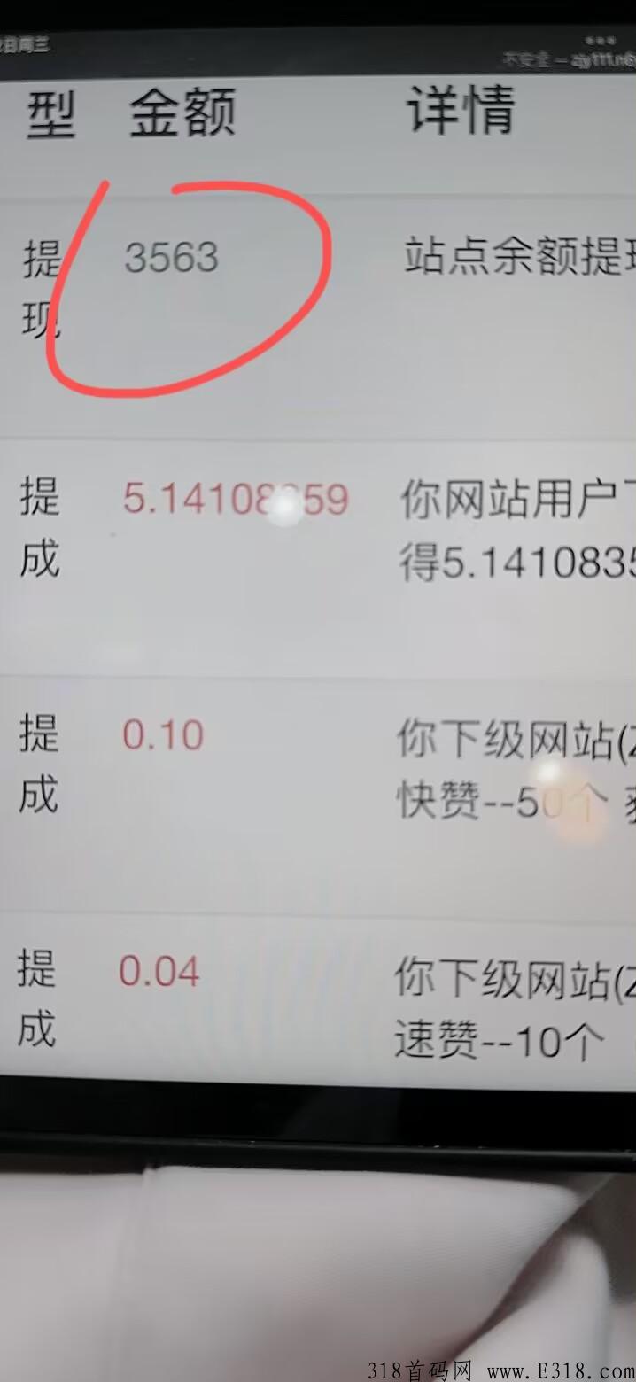 虚拟资源项目，稳定收益高