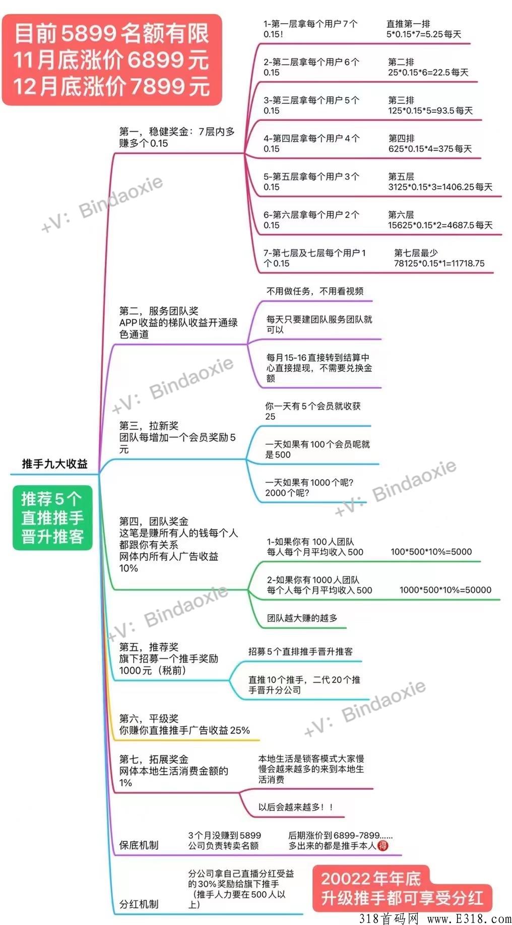 有喜有鱼团队长先到先得