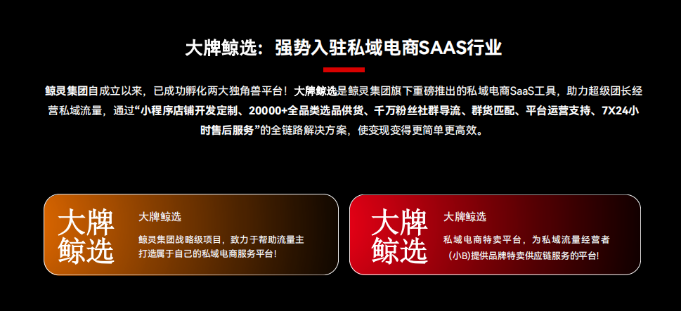 2023鲸灵集团再造一个蜂享家—大牌鲸选！全g招募店主/服务商/合伙人，首码对接团队平移