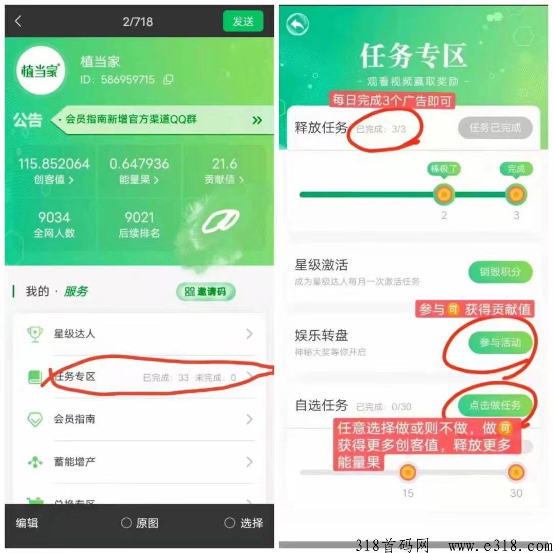 ​植当家，君凤煌模式！一个果子价高！完爆一切撸的项目！