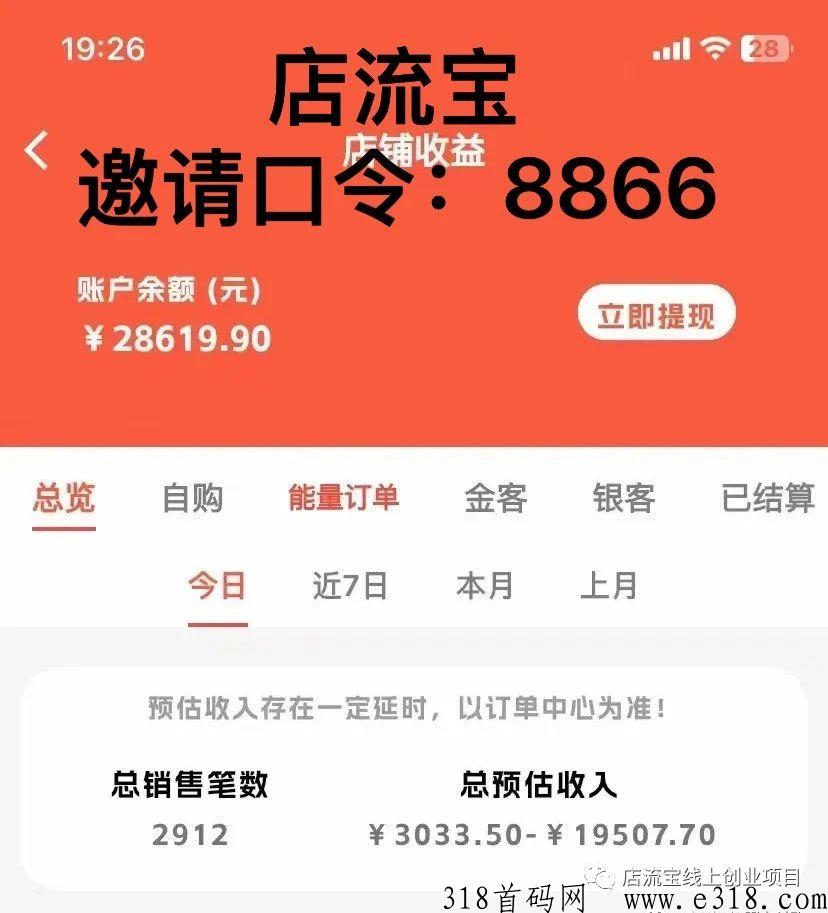 店流宝，长久稳定项目，轻松月入过万，小白可教，全网对接团队长