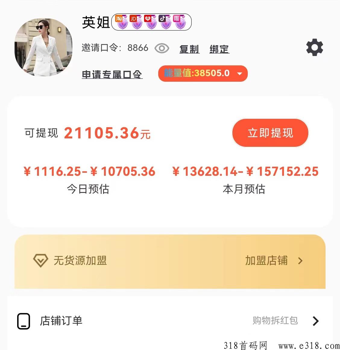 店流宝，长久稳定项目，轻松月入过万，小白可教，全网对接团队长