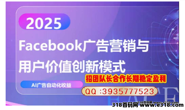 Facebook广告，营销与用户价值创新模式，招团队长合作长期稳定盈利