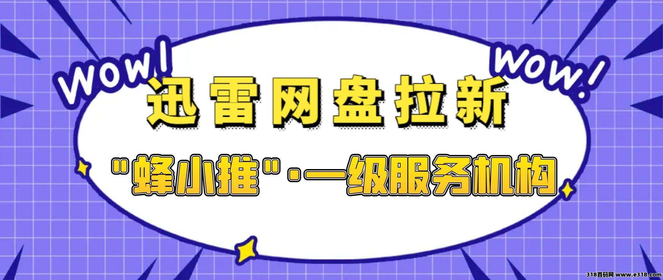 蜂小推，迅雷网盘拉新，为你一站式搞定数据管理+财富增长