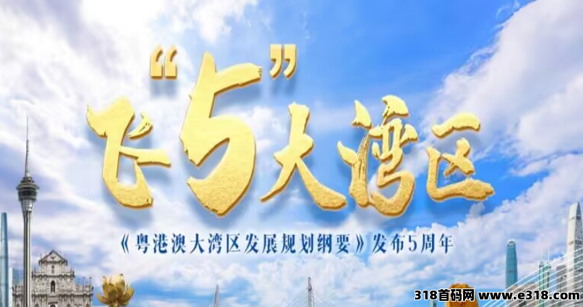 粤港澳大湾区，现在对接全网团队长，要对接的私聊我，扶持政策满