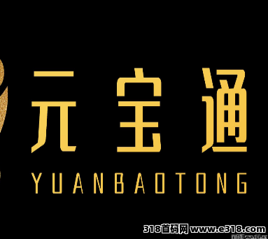 元宝通，政府支持，董事长是法人而且亲自站台，亲自带队，非常给力，本团队长驻公司总部 欢迎第一梯队来公司总部考察对接