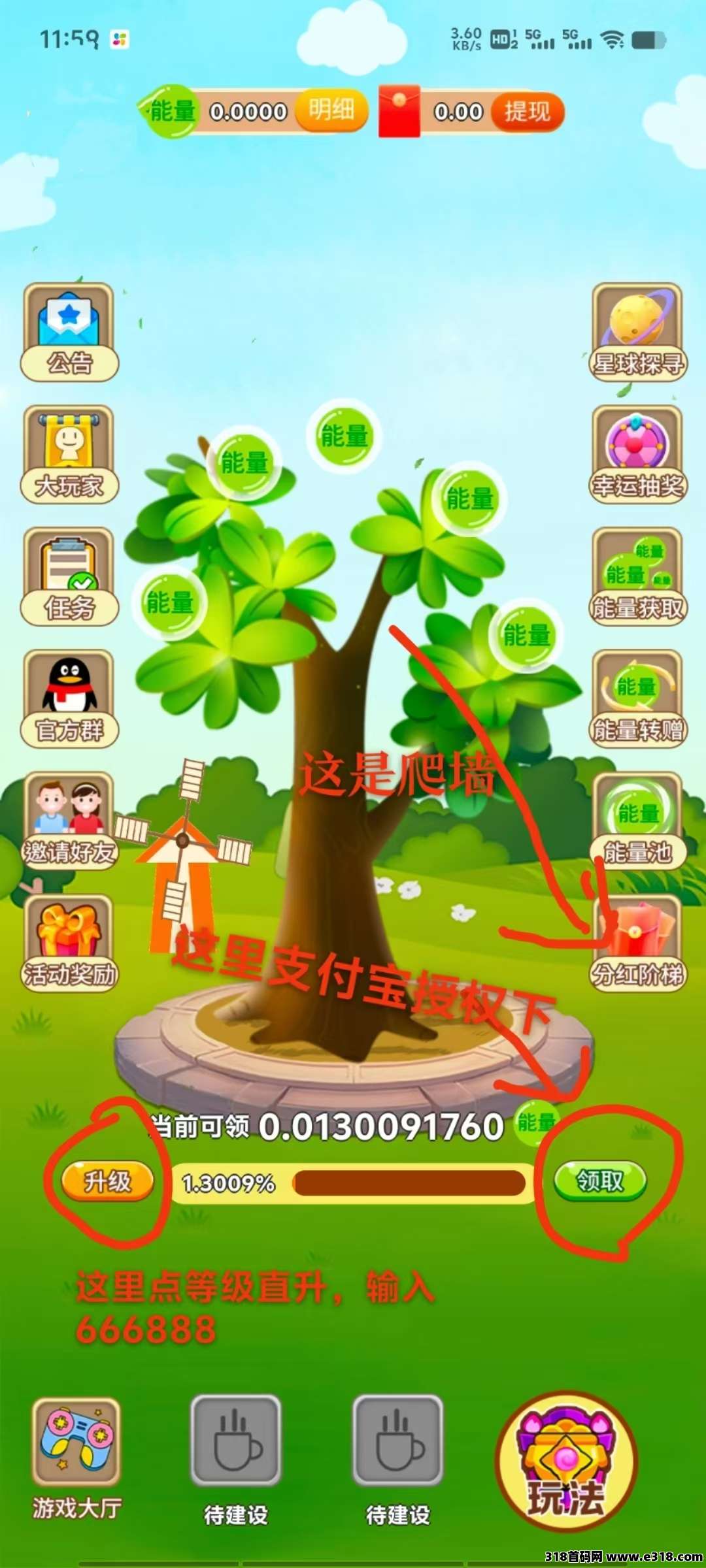 开心果树，今天刚零撸，无广告
