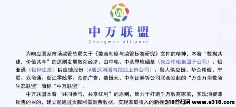 中万联盟是什么平台？抢先抓住2025数字经济，第一阶梯红利
