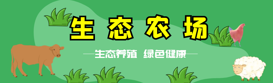 【阳光生态】首码刚出一秒，注册就送奖励，自动挂机收益，提秒到账！