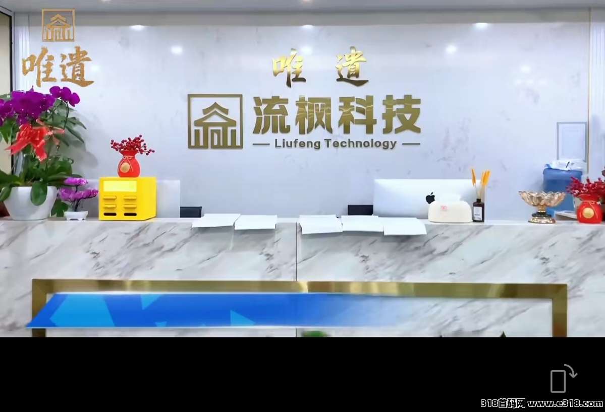 2025实体大项目，成都唯遗常驻公司支持考察