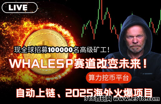 Whalesp算力挖币首码项目解析，(静+动)双模式，无人工干预，来着必赚