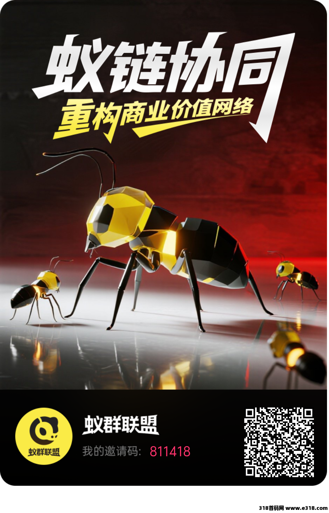 首码零撸蚁群联盟，2025全新躺赚模式，不可错过的项目