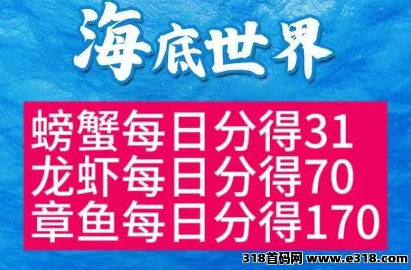 新海底世界养鱼挣钱,收入不错的小副业 新海底世界养鱼挣钱,收入不错的小副业
