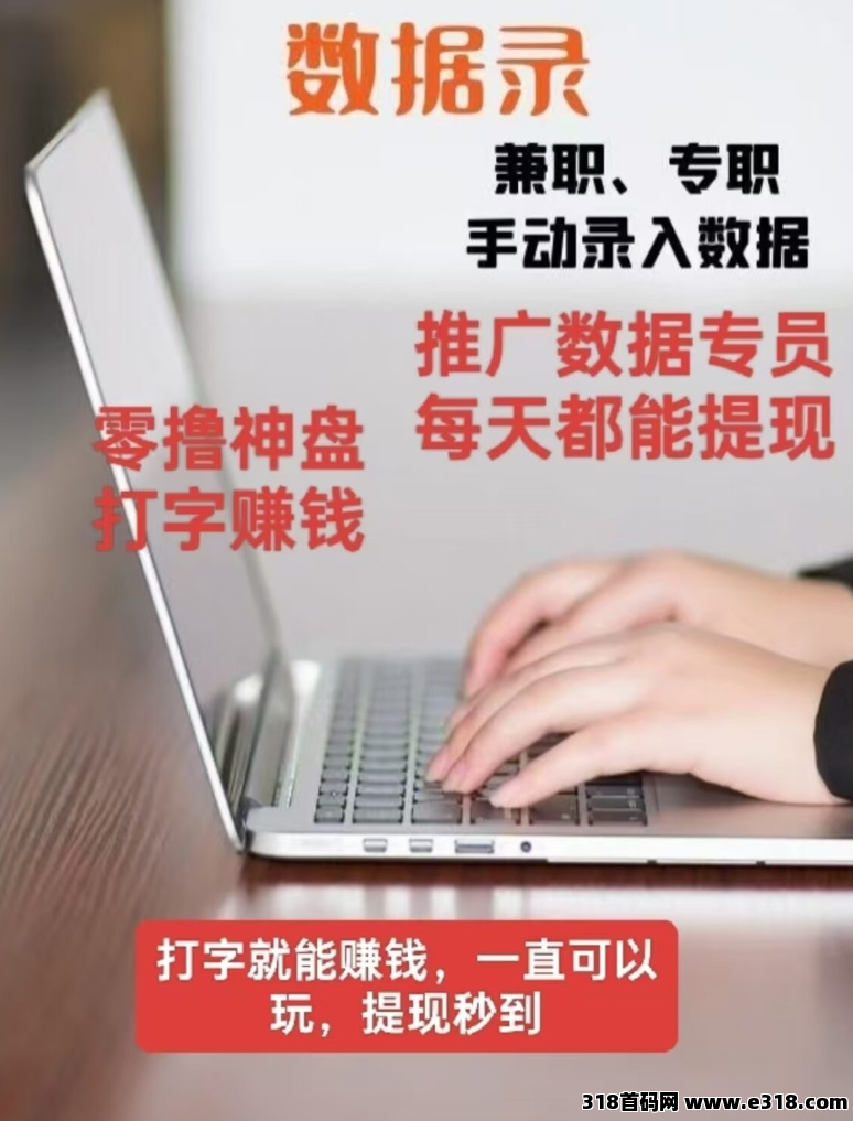 数据录零撸，每天打字赚米