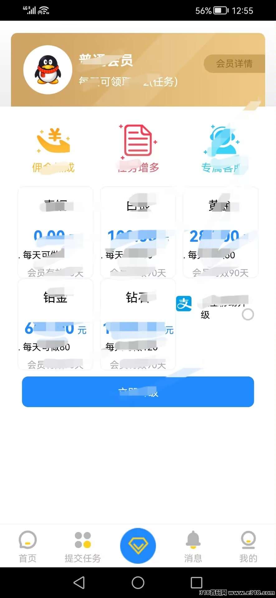 拼多多店铺收藏项目全新体验，感兴趣的千万不要错过
