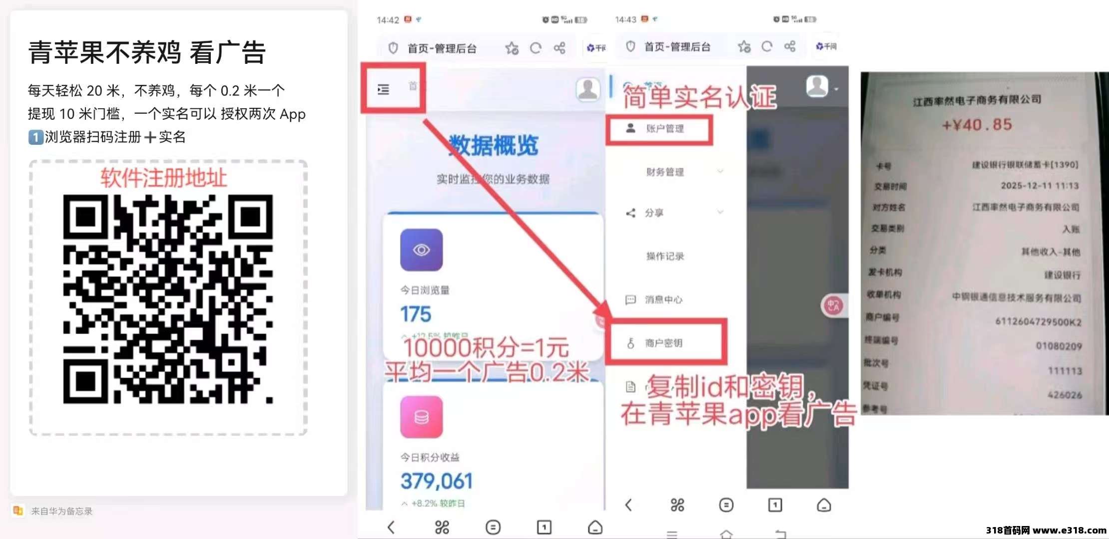 黑马【青苹果】无插件自动看广告赚米，每日轻松提现超稳定！
