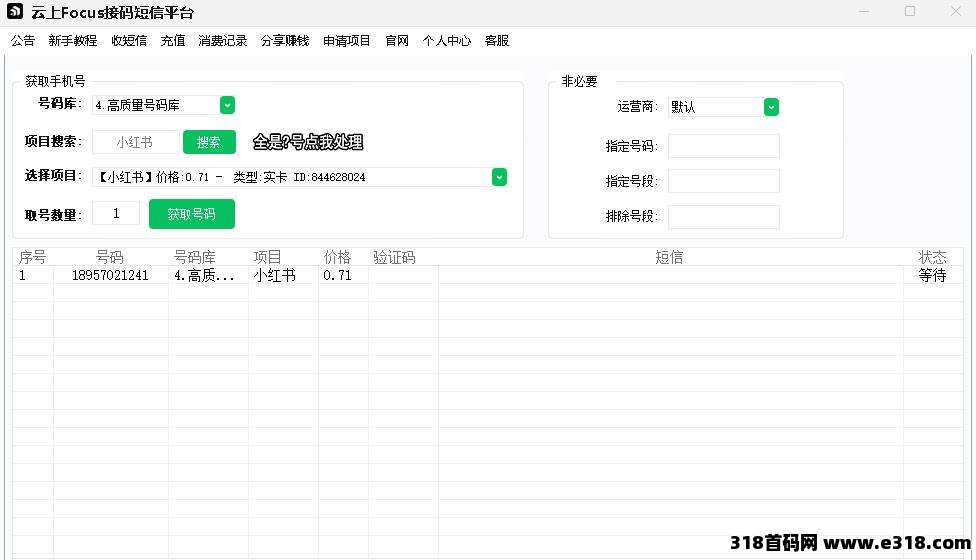 云上Focus接码平台，稳定高效